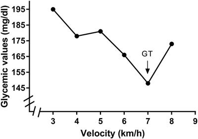 Glycemic Threshold as an Alternative Method to Identify the Anaerobic Threshold in Patients With Type 2 Diabetes